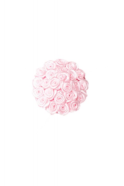 Rosa Damen Nippel Patch mit Rosen klein verziert selbsthaftend Rund 2x